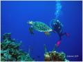P6187204