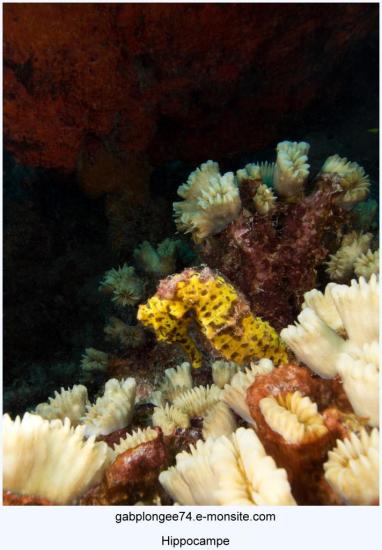P7254846