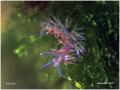 P9020493