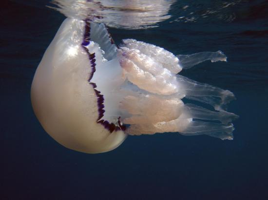 P9076570