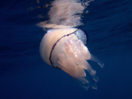 P9076571