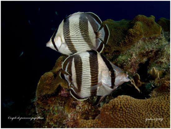 P9173307